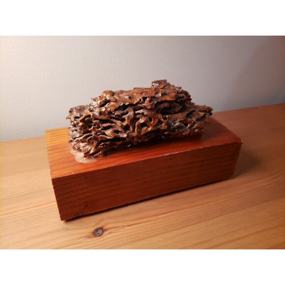 Vintage Termites Nest Mound Resin Decorative Natural Art Piece - Picture 1 of 6